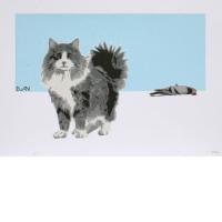Dan - Cat Amongst.. - Sold Out