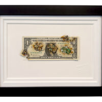 TBOY – Made In America – Dollar Bill